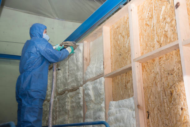 Best Fiberglass Insulation  in Battle Ground, IN